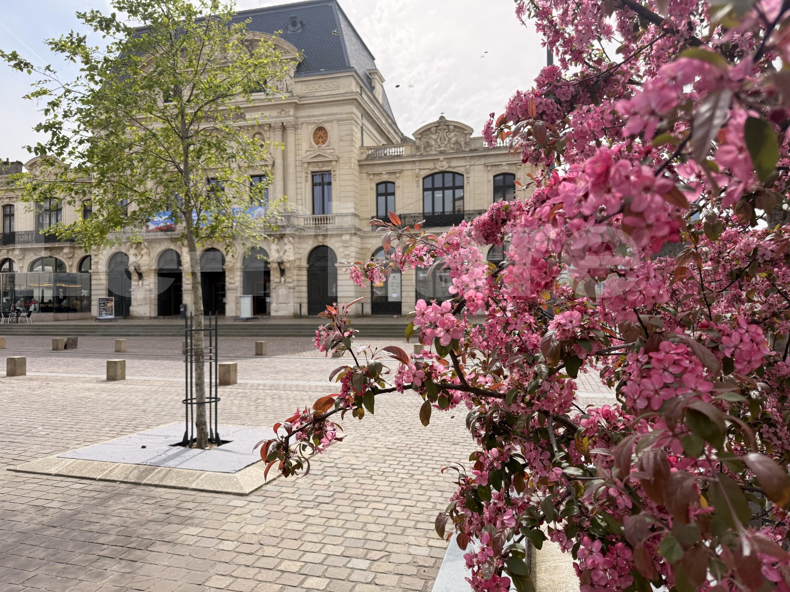 Appartement 5 Pièce(s) CHERBOURG