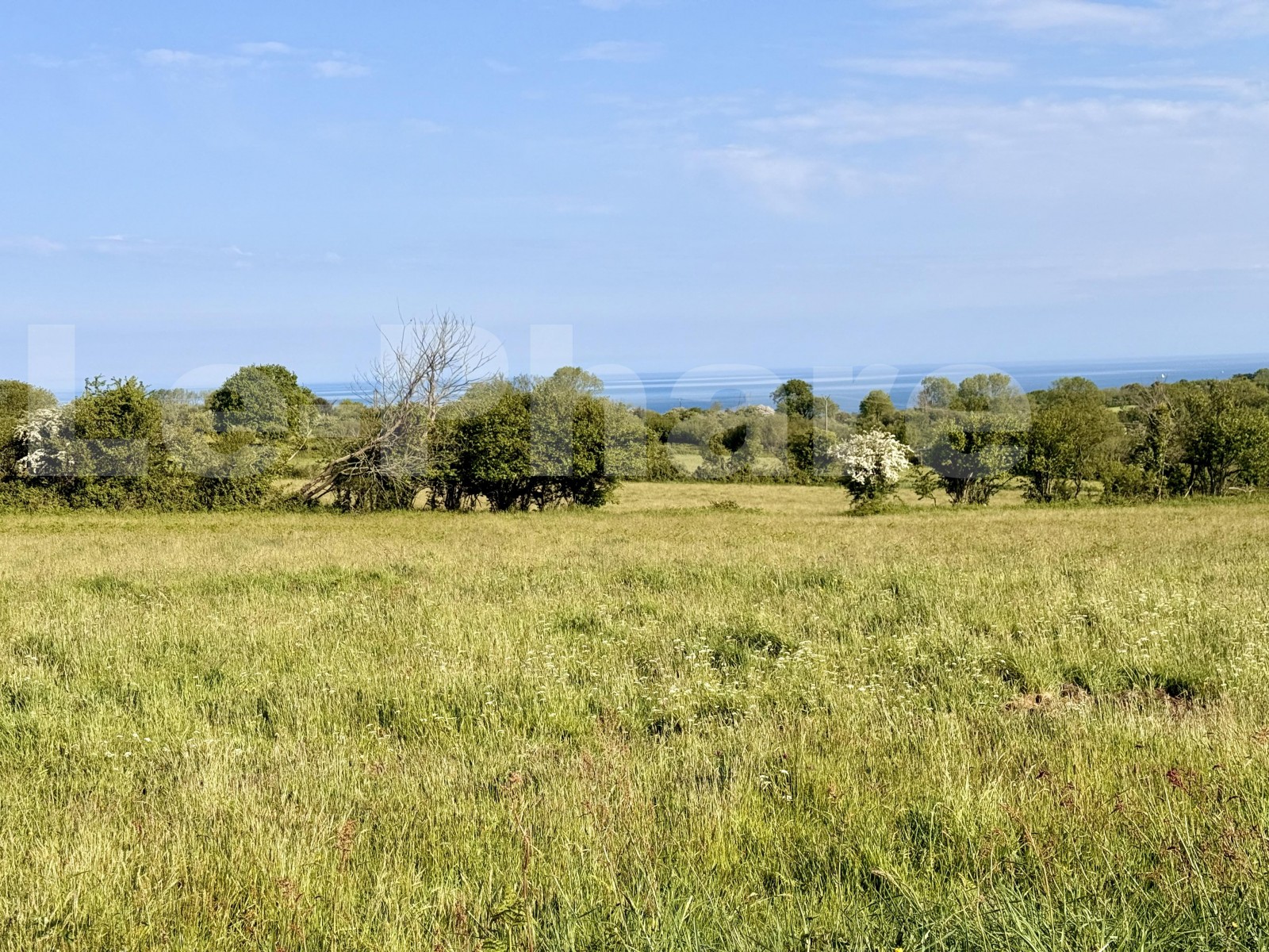 Terrain  BRETTEVILLE